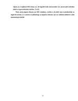 Referāts 'Brīvās ekonomiskās zonas Latvijā', 15.