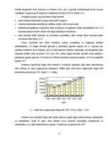 Referāts 'Brīvās ekonomiskās zonas Latvijā', 19.