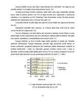 Referāts 'Brīvās ekonomiskās zonas Latvijā', 20.