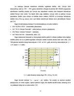 Referāts 'Brīvās ekonomiskās zonas Latvijā', 21.