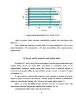 Referāts 'Brīvās ekonomiskās zonas Latvijā', 29.