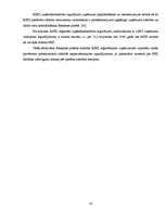 Referāts 'Brīvās ekonomiskās zonas Latvijā', 33.