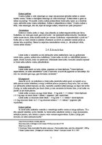 Konspekts 'Dabīgās krāsas, lakas un līmes', 7.