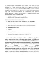 Referāts 'Betona bruģakmens ražošanas tehnoloģiskā projektēšana', 5.