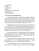 Referāts 'Betona bruģakmens ražošanas tehnoloģiskā projektēšana', 10.