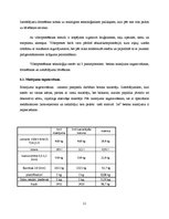 Referāts 'Betona bruģakmens ražošanas tehnoloģiskā projektēšana', 11.