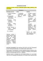 Konspekts 'Komerctiesību eksāmena jautājumi', 5.
