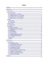 Referāts 'Bērnu un jauniešu drošība internetā', 2.