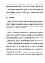 Referāts 'Bērnu un jauniešu drošība internetā', 11.