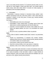 Referāts 'Bērnu un jauniešu drošība internetā', 25.