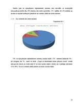 Referāts 'Bērnu un jauniešu drošība internetā', 36.