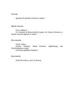 Referāts 'Kārlis Marija Vēbers', 6.