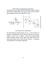 Referāts '"Sly" sindroms', 4.