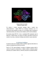 Referāts '"Sly" sindroms', 5.