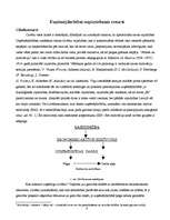 Referāts 'Uzņēmējdarbības veidošanas iespējas', 4.