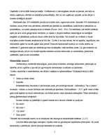 Referāts 'Uzņēmējdarbības veidošanas iespējas', 5.