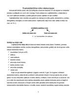 Referāts 'Uzņēmējdarbības veidošanas iespējas', 6.