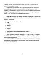 Referāts 'Uzņēmējdarbības veidošanas iespējas', 7.