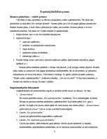 Referāts 'Uzņēmējdarbības veidošanas iespējas', 9.