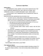 Referāts 'Uzņēmējdarbības veidošanas iespējas', 12.