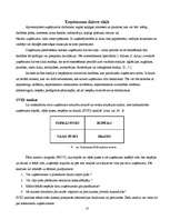 Referāts 'Uzņēmējdarbības veidošanas iespējas', 13.