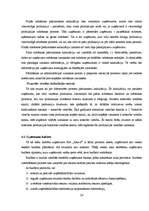 Prakses atskaite 'Prakse celtniecības uzņēmumā', 24.