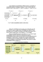 Referāts 'Optiskie multipleksori (WDM,FDM,TDM), demultipleksori', 17.