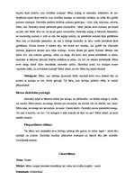 Prakses atskaite 'Integrētais eksāmens. Pirmsskola', 10.