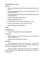 Prakses atskaite 'Integrētais eksāmens. Pirmsskola', 11.