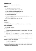 Prakses atskaite 'Integrētais eksāmens. Pirmsskola', 15.