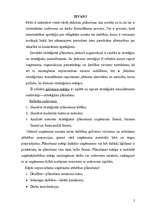 Referāts 'Plānošanas loma menedžmentā', 2.