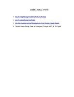 Konspekts 'Briseles municipalitāte', 12.