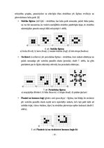 Referāts 'Konveja "Dzīves" spēles modelis', 14.