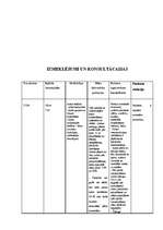 Konspekts 'Aprūpes plāns terapijā', 13.