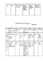 Konspekts 'Aprūpes plāns terapijā', 15.