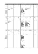 Konspekts 'Aprūpes plāns terapijā', 16.