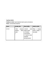 Konspekts 'Aprūpes plāns terapijā', 17.