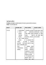 Konspekts 'Aprūpes plāns terapijā', 18.