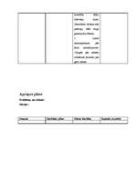 Konspekts 'Aprūpes plāns terapijā', 19.