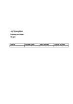 Konspekts 'Aprūpes plāns terapijā', 20.