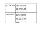 Konspekts 'Aprūpes plāns terapijā', 22.