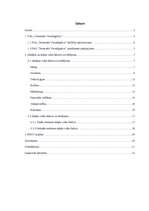 Referāts 'Publiskās akciju sabiedrības "Termināls Vecmīlgrāvis" vadīšana', 1.