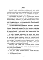 Referāts 'Publiskās akciju sabiedrības "Termināls Vecmīlgrāvis" vadīšana', 2.