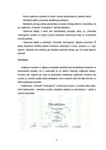 Referāts 'Publiskās akciju sabiedrības "Termināls Vecmīlgrāvis" vadīšana', 9.