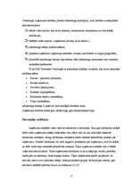 Referāts 'Publiskās akciju sabiedrības "Termināls Vecmīlgrāvis" vadīšana', 14.