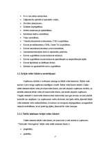 Referāts 'Publiskās akciju sabiedrības "Termināls Vecmīlgrāvis" vadīšana', 17.