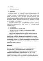 Referāts 'Publiskās akciju sabiedrības "Termināls Vecmīlgrāvis" vadīšana', 19.