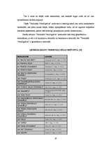 Referāts 'Publiskās akciju sabiedrības "Termināls Vecmīlgrāvis" vadīšana', 20.