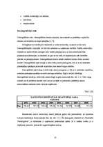 Referāts 'Publiskās akciju sabiedrības "Termināls Vecmīlgrāvis" vadīšana', 23.