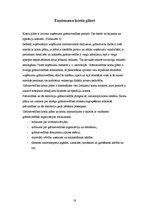 Prakses atskaite 'Kvalifikācijas prakses atskaite grāmatvedībā uzņēmumā "Merida - Latvija"', 18.